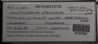 Image Associated With the Occurence